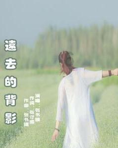 生化危机：浣熊市行动