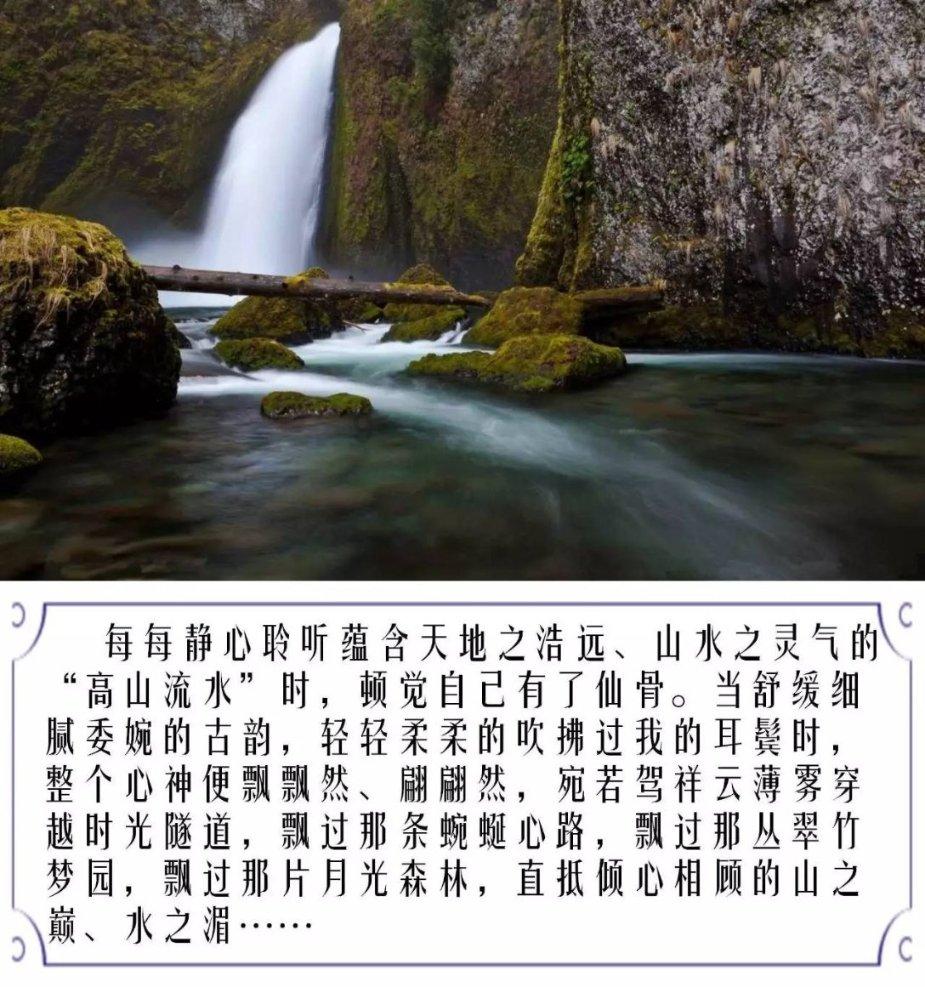 森迪公主的可爱装扮